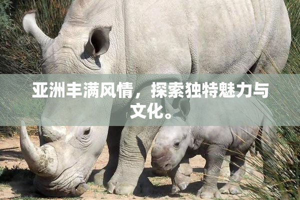 亚洲丰满风情，探索独特魅力与文化。