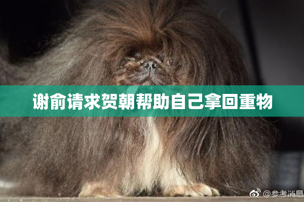谢俞请求贺朝帮助自己拿回重物