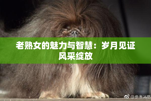 老熟女的魅力与智慧：岁月见证风采绽放