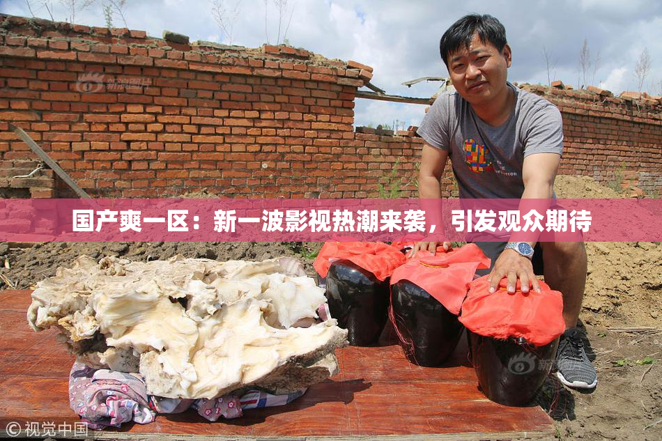 国产爽一区：新一波影视热潮来袭，引发观众期待