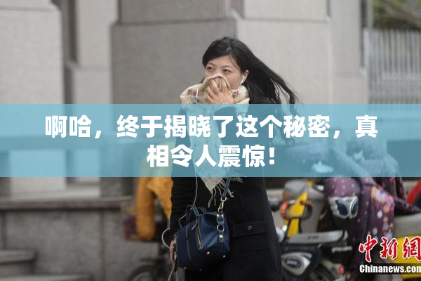 啊哈，终于揭晓了这个秘密，真相令人震惊！