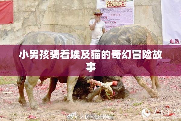 小男孩骑着埃及猫的奇幻冒险故事