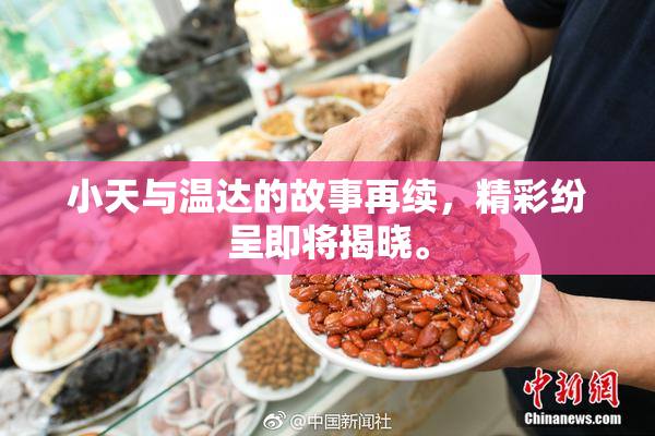 小天与温达的故事再续，精彩纷呈即将揭晓。