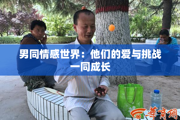 男同情感世界：他们的爱与挑战一同成长