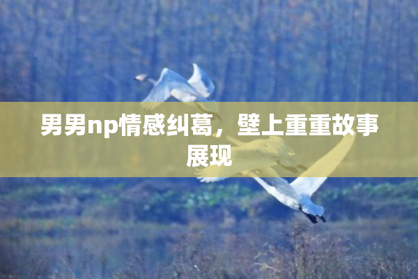 男男np情感纠葛，壁上重重故事展现