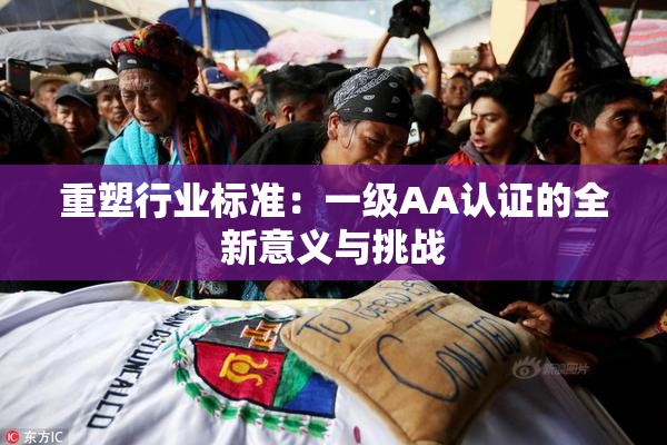 重塑行业标准：一级AA认证的全新意义与挑战