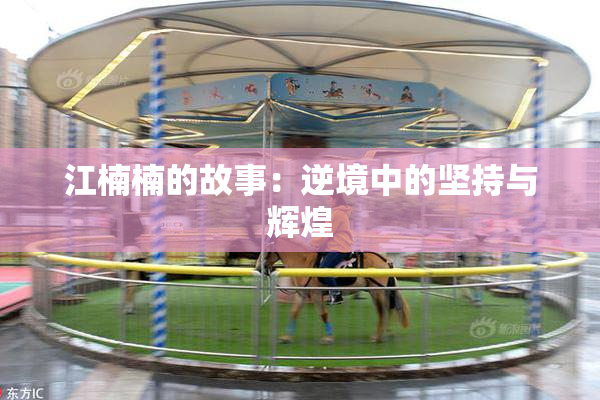 江楠楠的故事：逆境中的坚持与辉煌