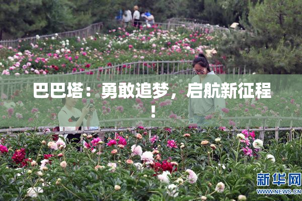 巴巴塔：勇敢追梦，启航新征程！