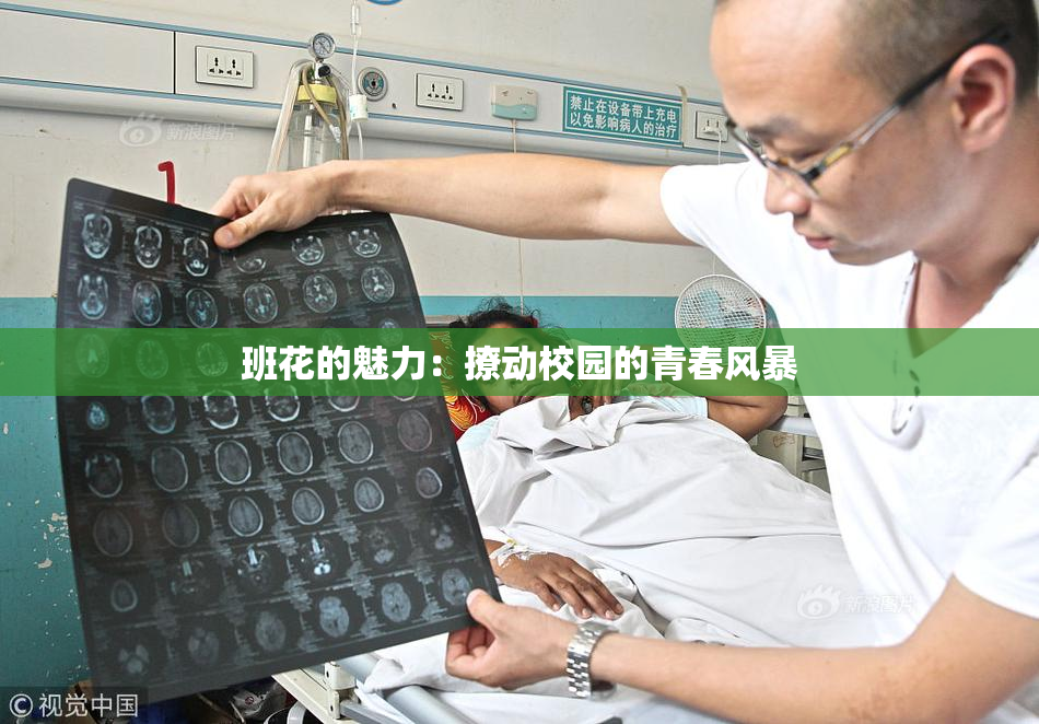 班花的魅力：撩动校园的青春风暴