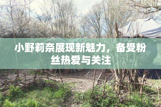 小野莉奈展现新魅力，备受粉丝热爱与关注