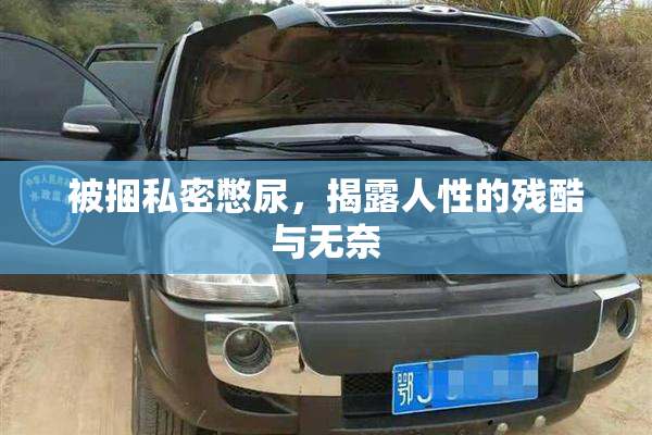 被捆私密憋尿，揭露人性的残酷与无奈