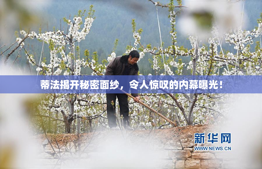 蒂法揭开秘密面纱，令人惊叹的内幕曝光！