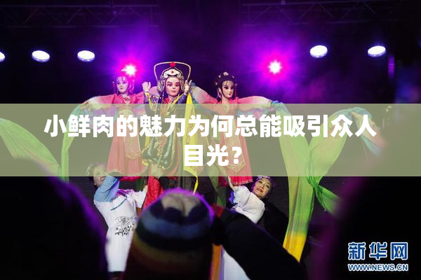 小鲜肉的魅力为何总能吸引众人目光？