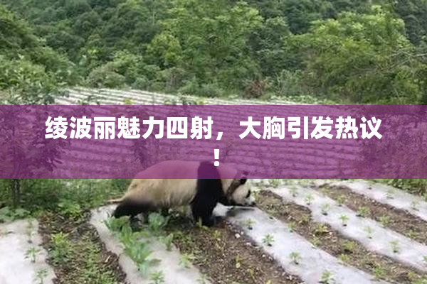绫波丽魅力四射，大胸引发热议！