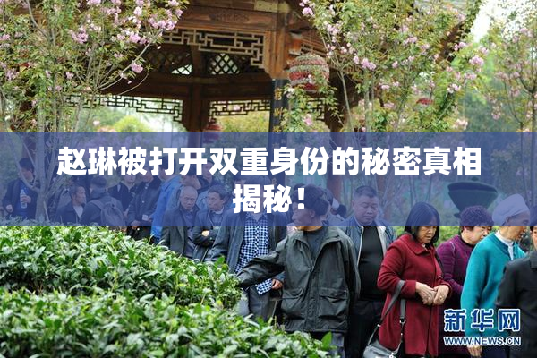 赵琳被打开双重身份的秘密真相揭秘！