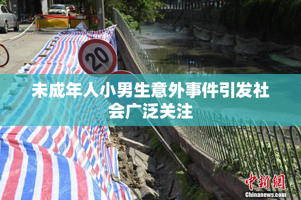 未成年人小男生意外事件引发社会广泛关注