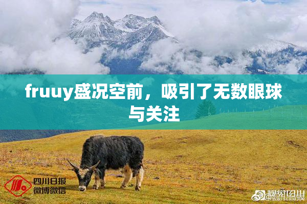 fruuy盛况空前，吸引了无数眼球与关注