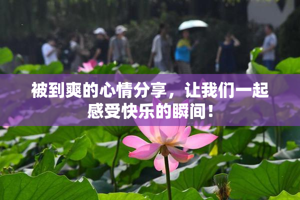 被到爽的心情分享，让我们一起感受快乐的瞬间！
