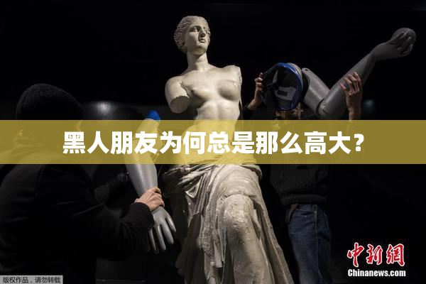 黑人朋友为何总是那么高大？