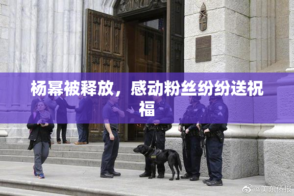 杨幂被释放，感动粉丝纷纷送祝福