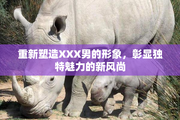 重新塑造XXX男的形象，彰显独特魅力的新风尚