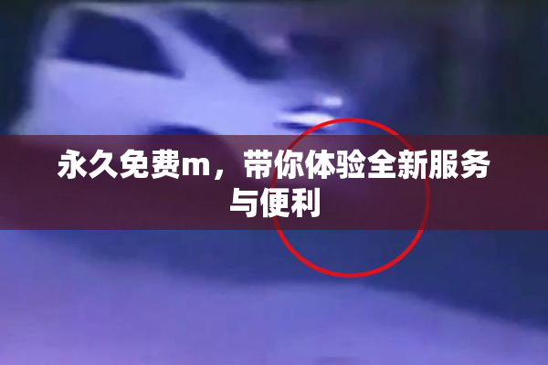 永久免费m，带你体验全新服务与便利