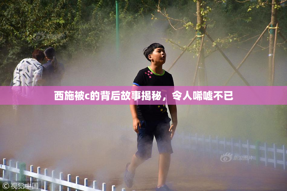 西施被c的背后故事揭秘，令人唏嘘不已