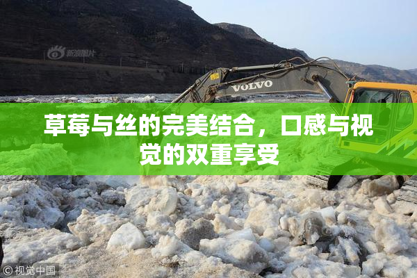 草莓与丝的完美结合，口感与视觉的双重享受