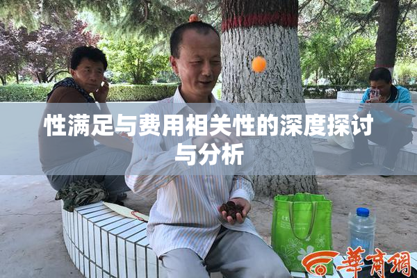性满足与费用相关性的深度探讨与分析