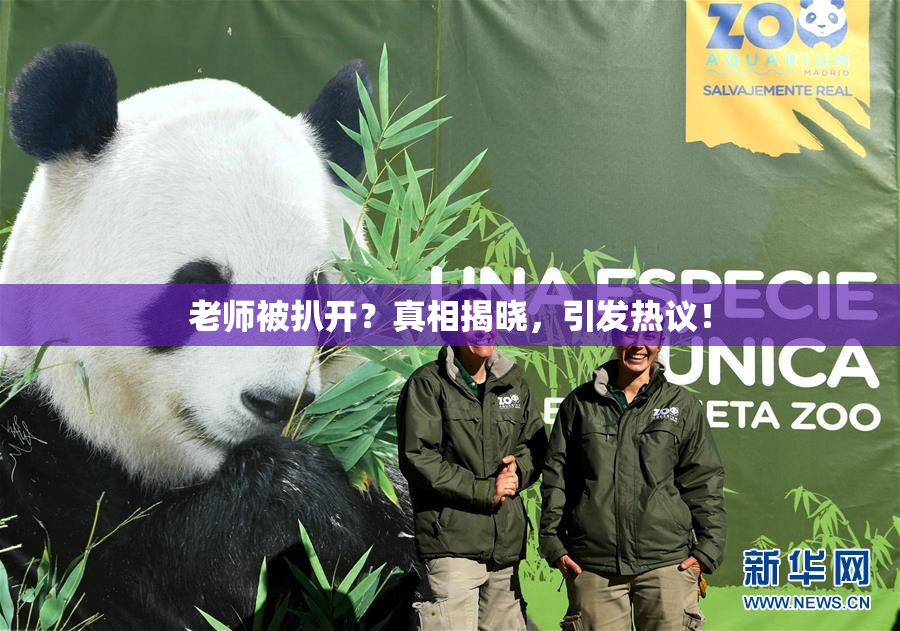 老师被扒开？真相揭晓，引发热议！