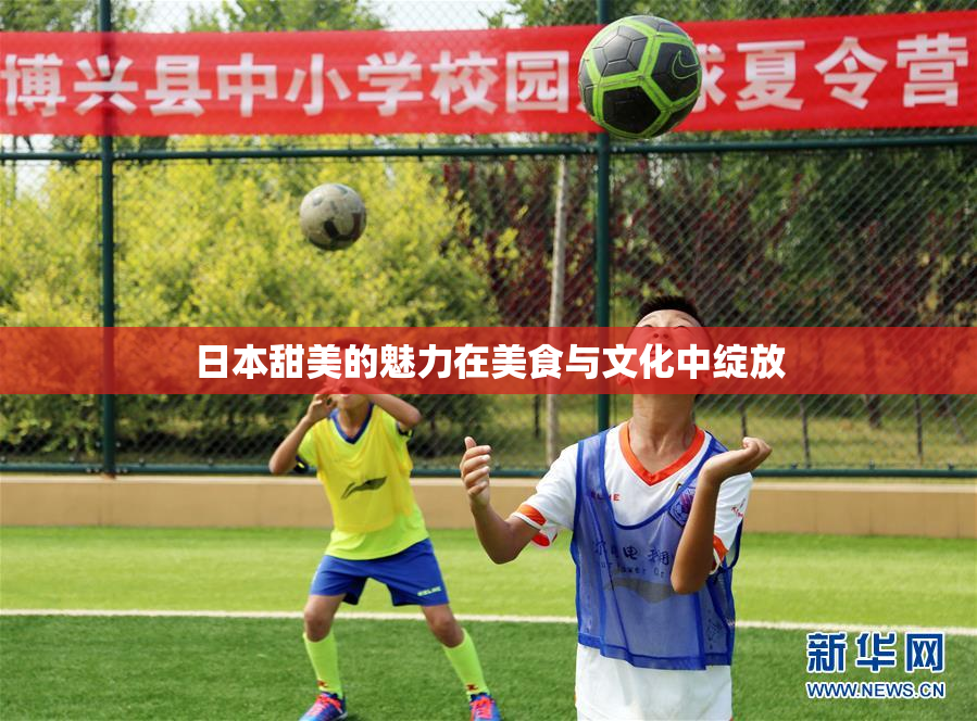 日本甜美的魅力在美食与文化中绽放