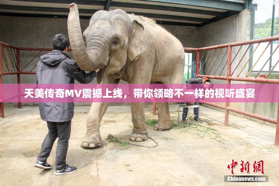 天美传奇MV震撼上线，带你领略不一样的视听盛宴