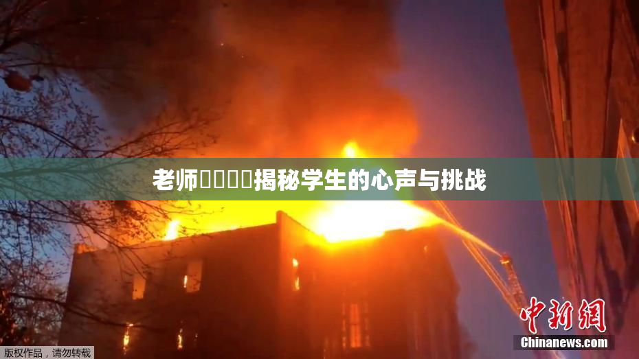 老师❌‌❌‌揭秘学生的心声与挑战