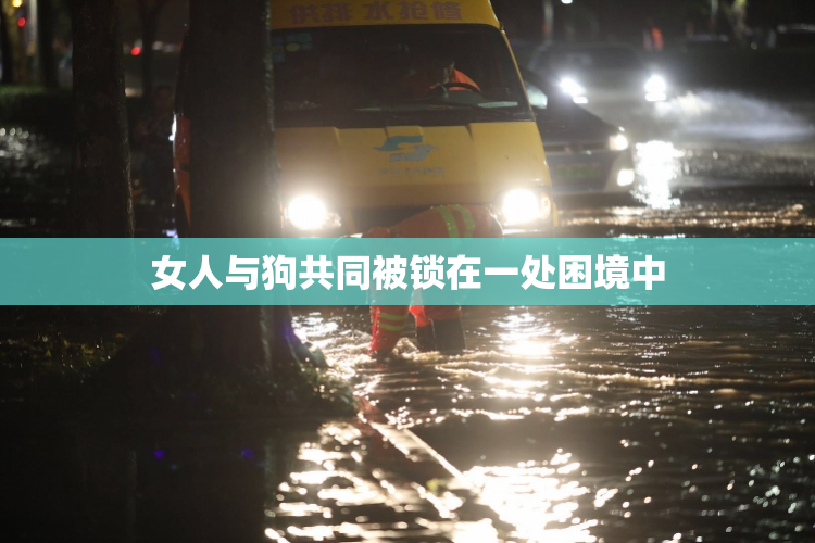 女人与狗共同被锁在一处困境中