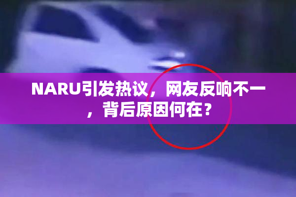 NARU引发热议，网友反响不一，背后原因何在？