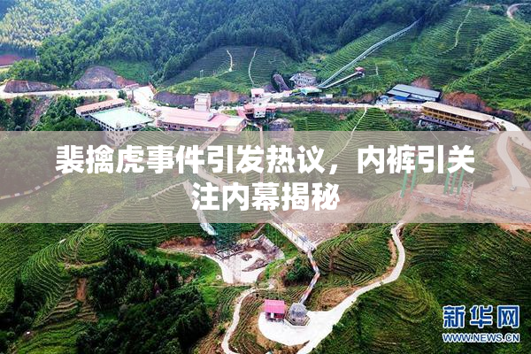 裴擒虎事件引发热议，内裤引关注内幕揭秘