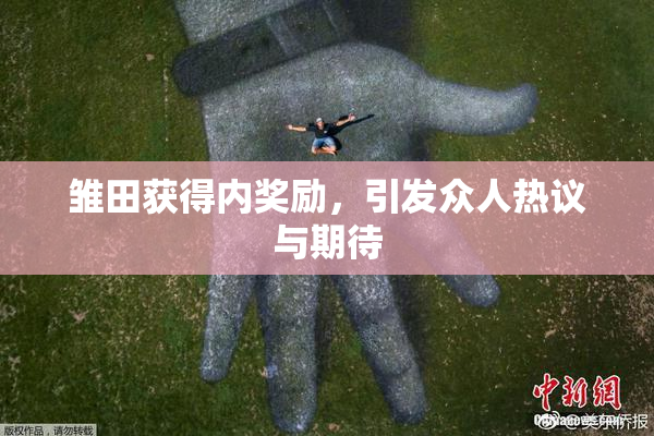 雏田获得内奖励，引发众人热议与期待