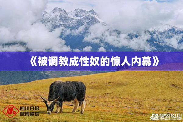 《被调教成性奴的惊人内幕》