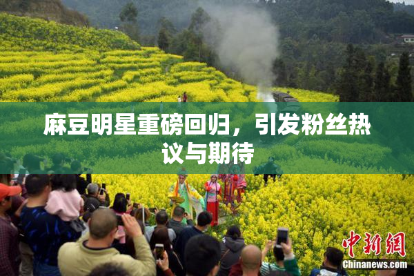 麻豆明星重磅回归，引发粉丝热议与期待