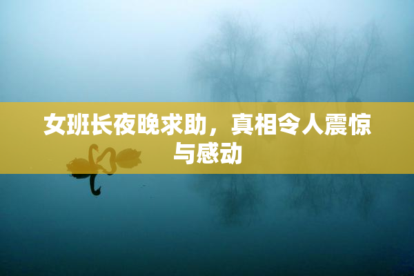 女班长夜晚求助，真相令人震惊与感动