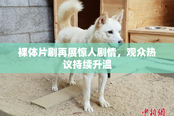 裸体片剧再展惊人剧情，观众热议持续升温