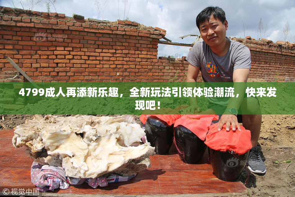 4799成人再添新乐趣，全新玩法引领体验潮流，快来发现吧！
