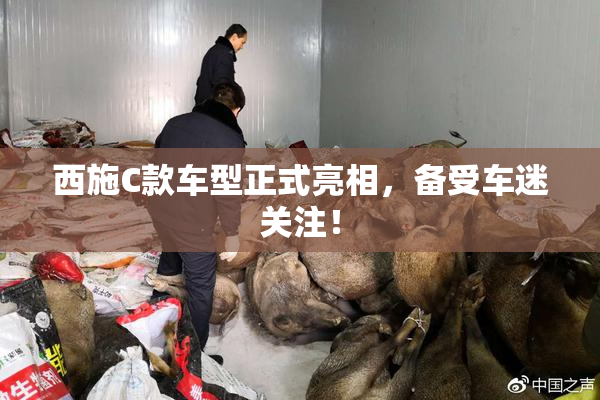 西施C款车型正式亮相，备受车迷关注！