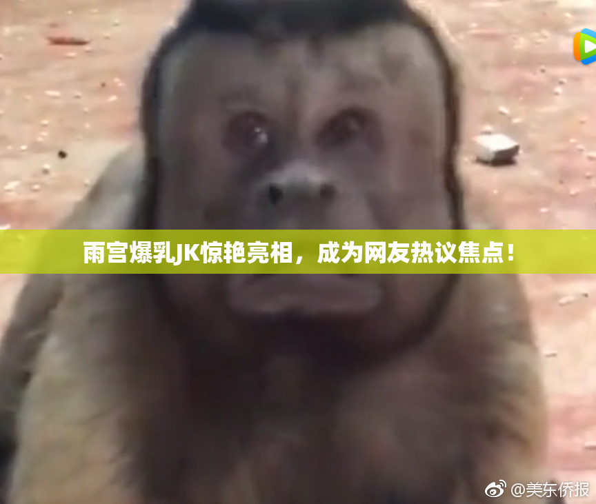 雨宫爆乳JK惊艳亮相，成为网友热议焦点！