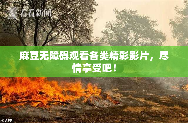 麻豆无障碍观看各类精彩影片，尽情享受吧！