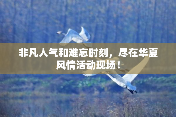 非凡人气和难忘时刻，尽在华夏风情活动现场！