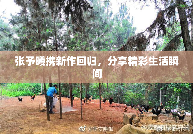 张予曦携新作回归，分享精彩生活瞬间