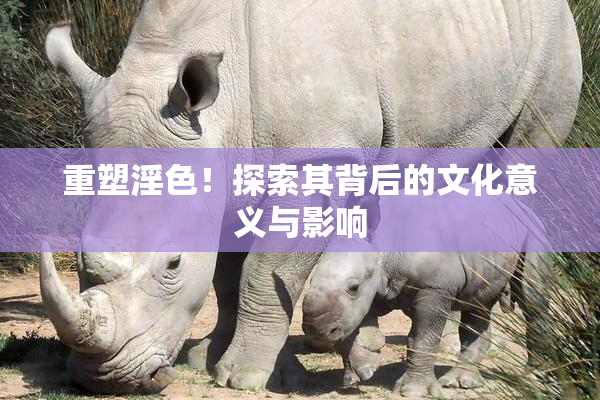 重塑淫色！探索其背后的文化意义与影响