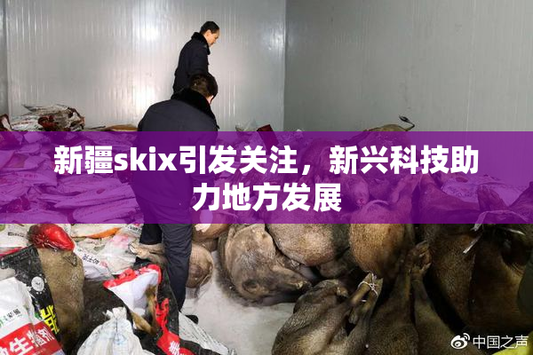 新疆skix引发关注，新兴科技助力地方发展