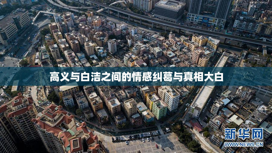 高义与白洁之间的情感纠葛与真相大白